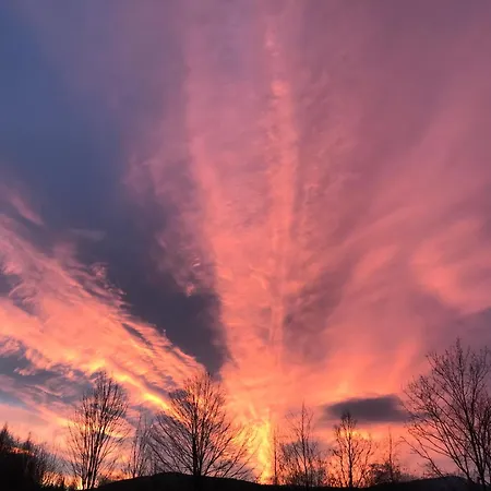 Guest house Zakatek 3*