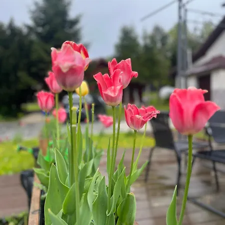 Zakatek Guest house 3*