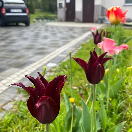 Zakatek Wysowa-Zdroj