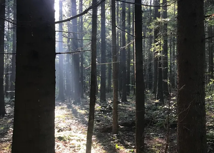 בית הארחה Zakatek 3*