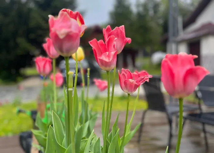 Zakatek בית הארחה 3*