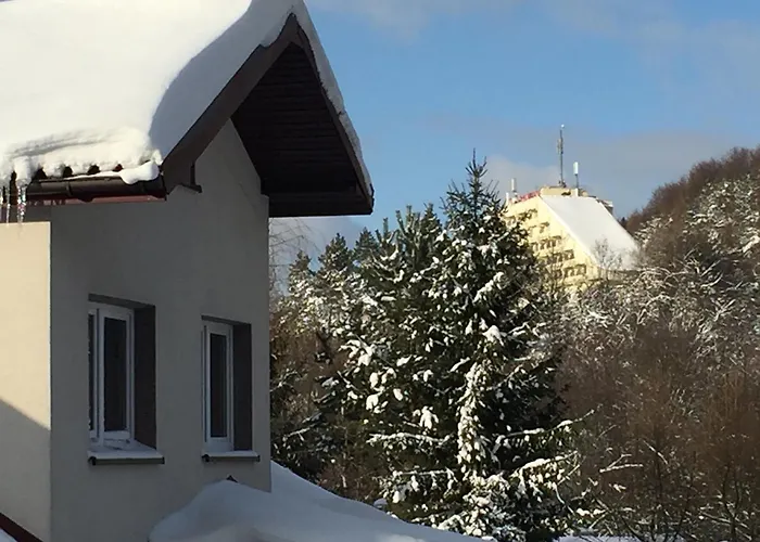 Zakatek Wysowa-Zdrój